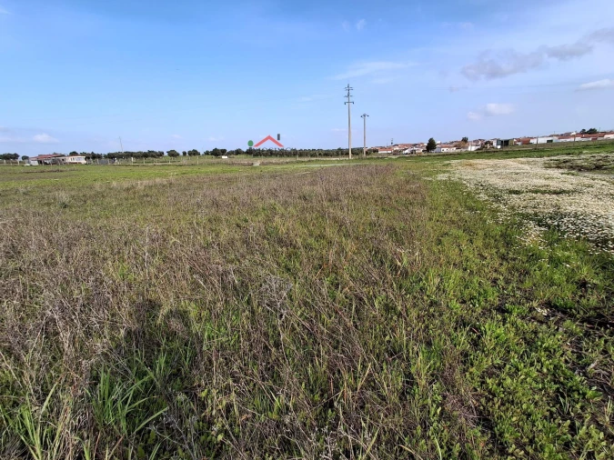 Terreno Agricola ou Rústico para Venda em Ferreira do Alentejo e Canhestros Foto 11