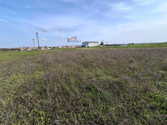 Terreno Agricola ou Rústico para Venda em Ferreira do Alentejo e Canhestros Foto 12
