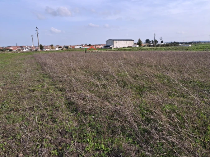 Terreno Agricola ou Rústico para Venda em Ferreira do Alentejo e Canhestros Foto 13