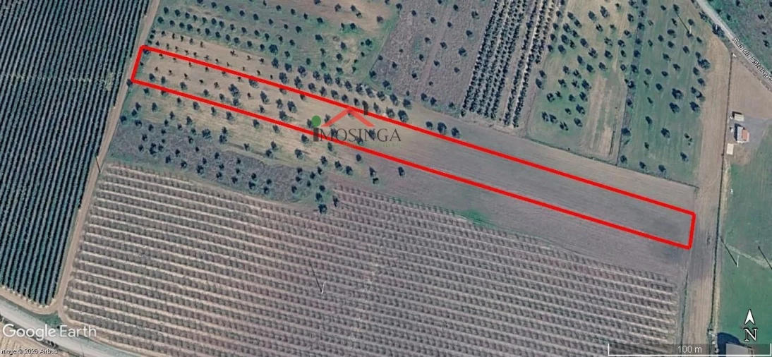 Terreno Agricola ou Rústico para Venda em Ferreira do Alentejo e Canhestros Foto 15