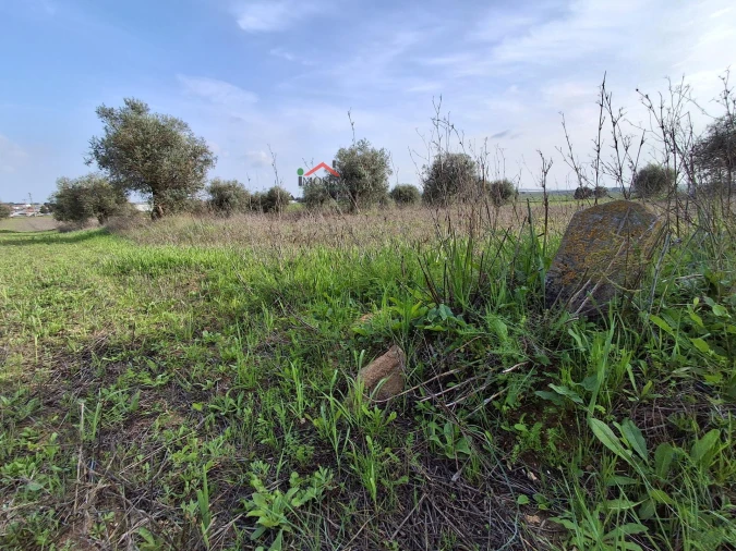 Terreno Agricola ou Rústico para Venda em Ferreira do Alentejo e Canhestros Foto 3