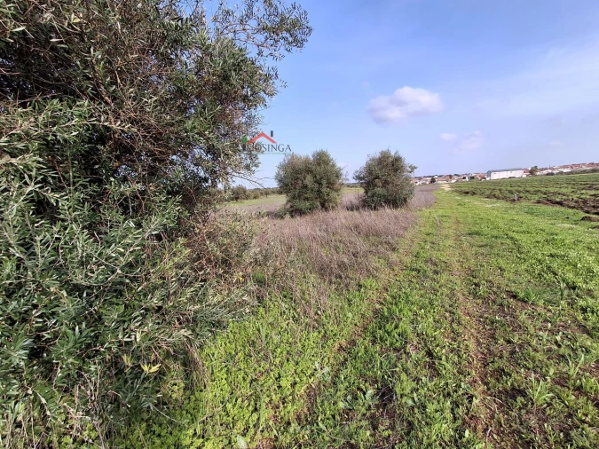 Terreno Agricola ou Rústico para Venda em Ferreira do Alentejo e Canhestros Foto 6