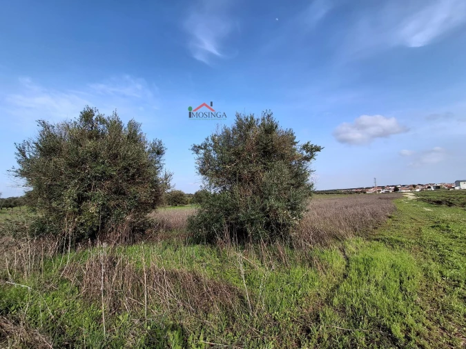 Terreno Agricola ou Rústico para Venda em Ferreira do Alentejo e Canhestros Foto 7