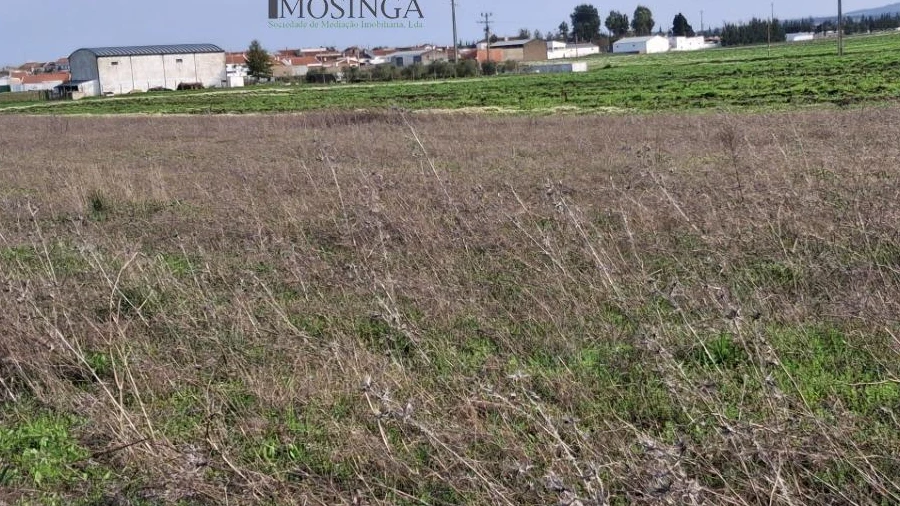 Terreno Agricola ou Rústico para Venda em Ferreira do Alentejo e Canhestros