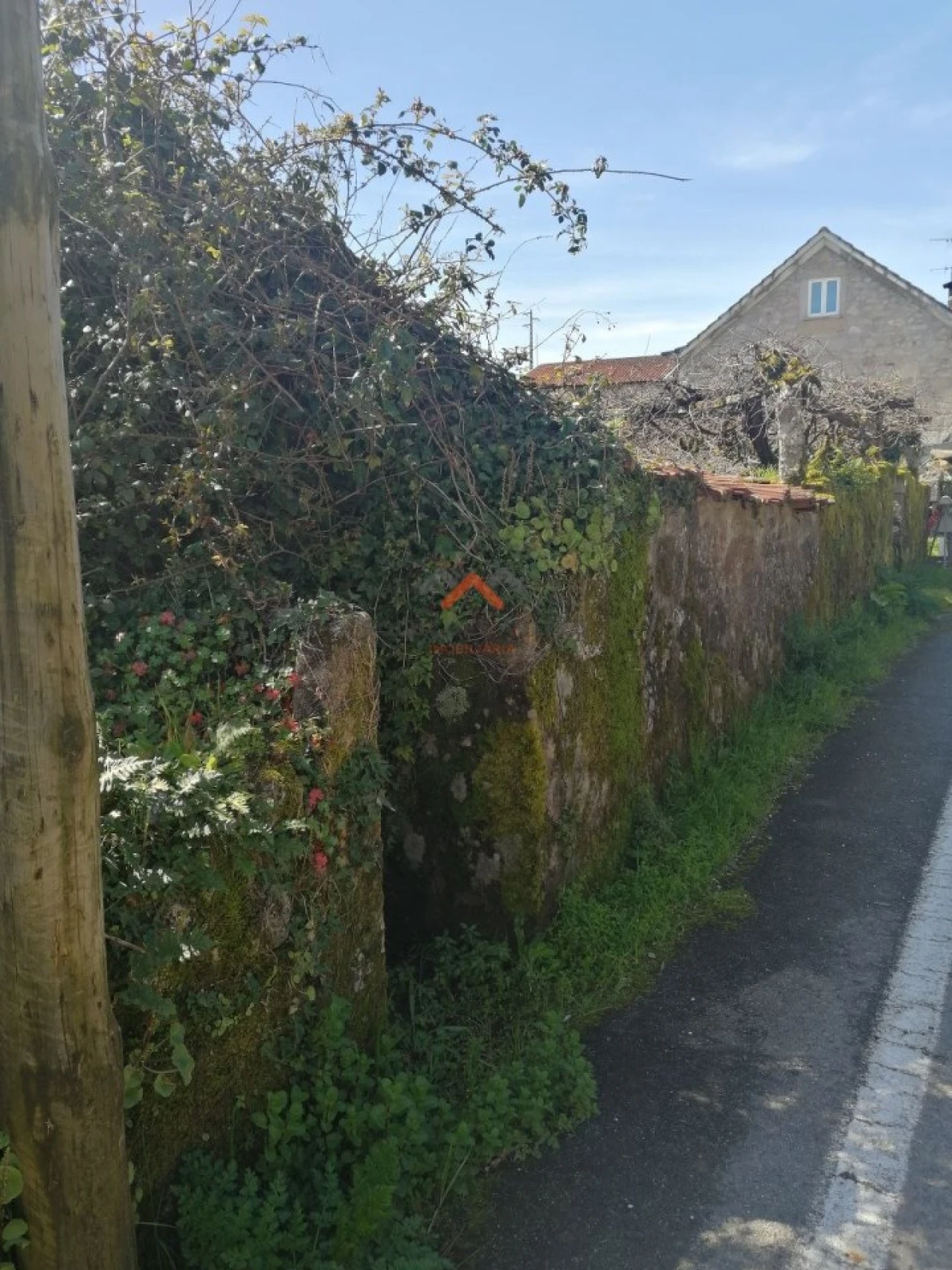 Moradia T2 para Venda em Talhadas Foto 5