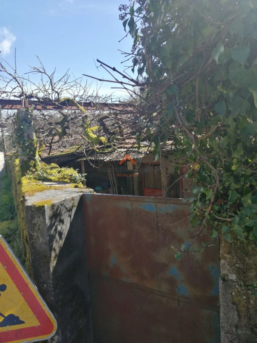 Moradia T2 para Venda em Talhadas Foto 3