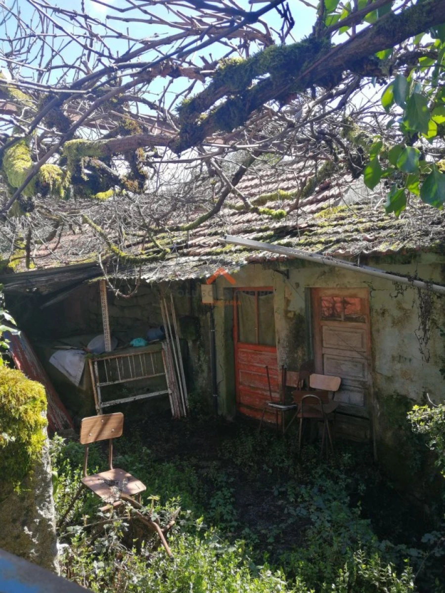 Moradia T2 para Venda em Talhadas Foto 4