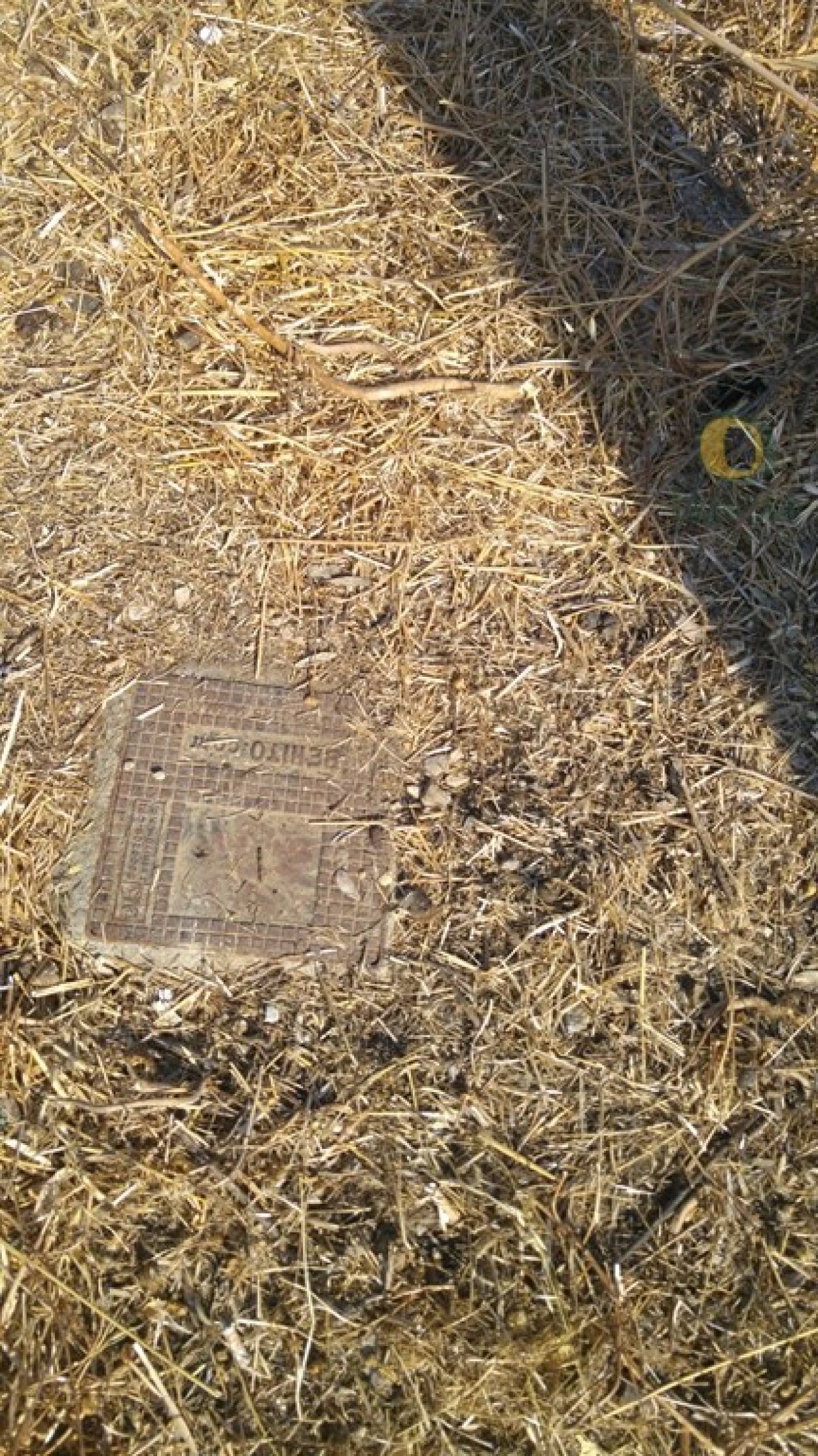 Terreno Agricola ou Rústico para Venda em Quelfes Foto 3