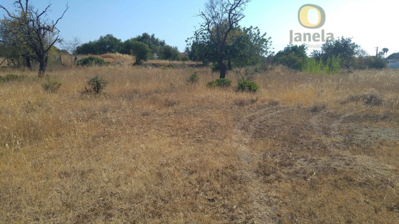 Terreno Agricola ou Rústico para Venda em Quelfes Foto 8