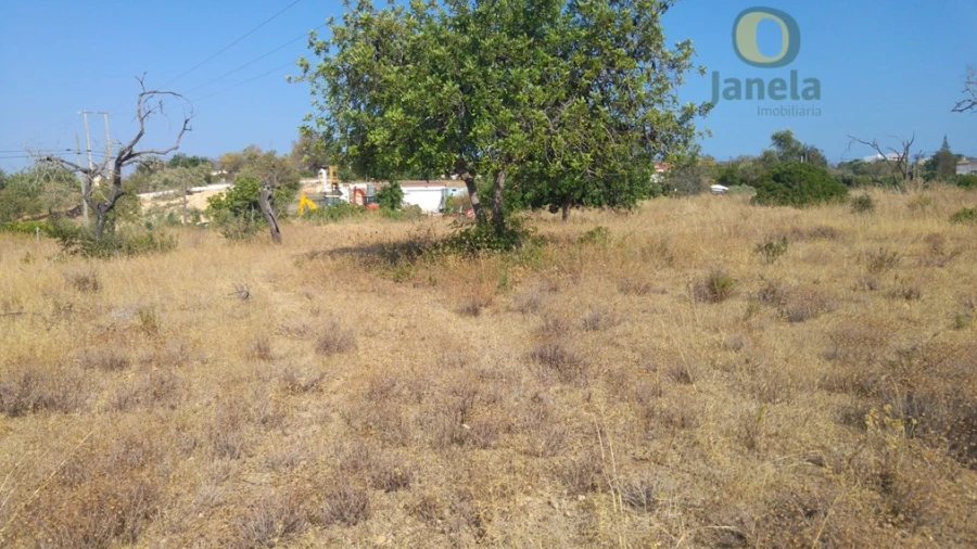 Terreno Agricola ou Rústico para Venda em Quelfes