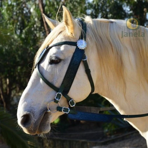 Quinta T5 para Venda em Estômbar e Parchal Foto 4