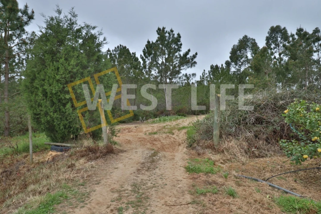 Terreno Agricola ou Rústico para Venda em Azueira e Sobral da Abelheira Foto 3