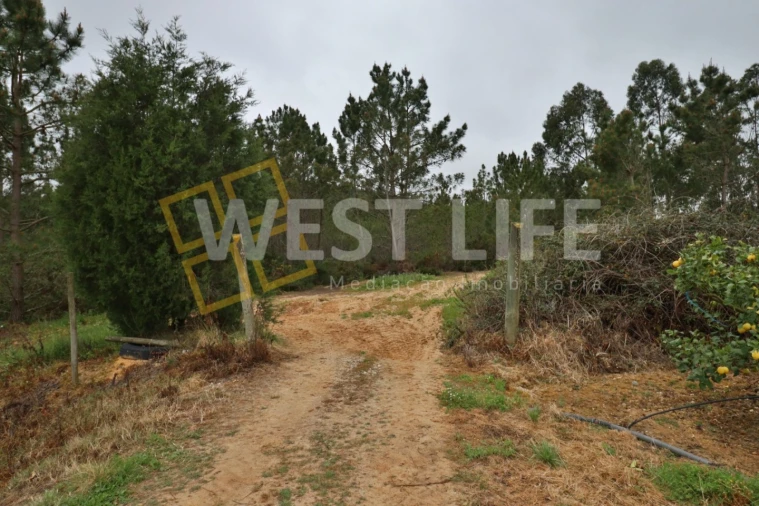 Terreno Agricola ou Rústico para Venda em Azueira e Sobral da Abelheira