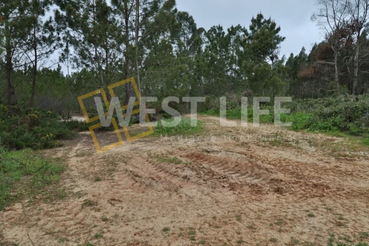 Terreno Agricola ou Rústico para Venda em Azueira e Sobral da Abelheira Foto 2