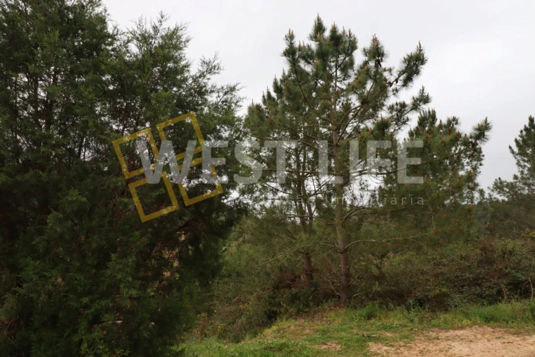 Terreno Agricola ou Rústico para Venda em Azueira e Sobral da Abelheira Foto 9