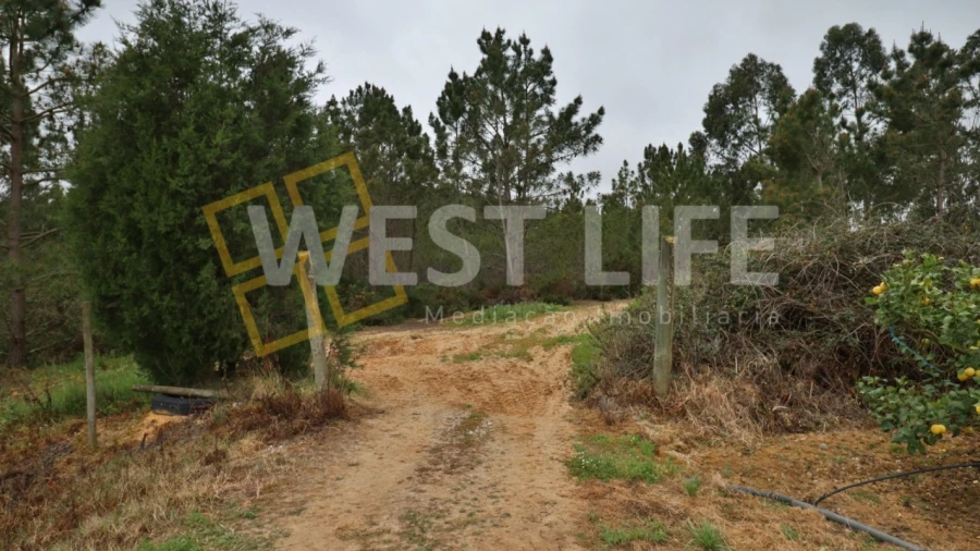 Terreno Agricola ou Rústico para Venda em Azueira e Sobral da Abelheira