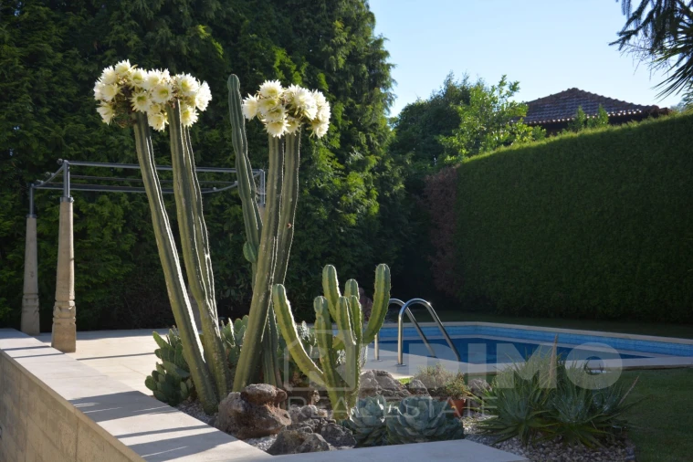 Moradia para Venda em Vila de Cucujães Foto 6