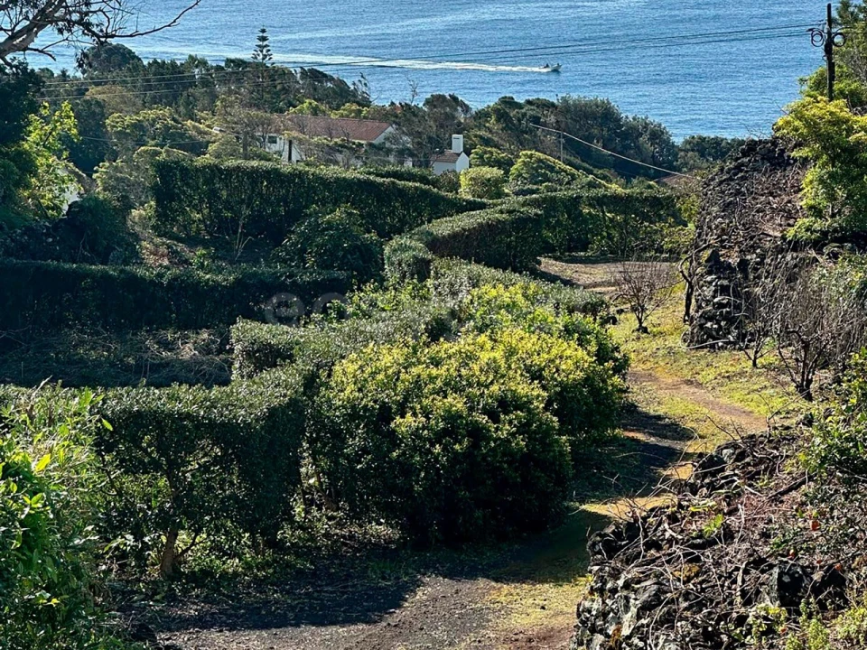 Moradia T2 para Venda em São João Foto 15