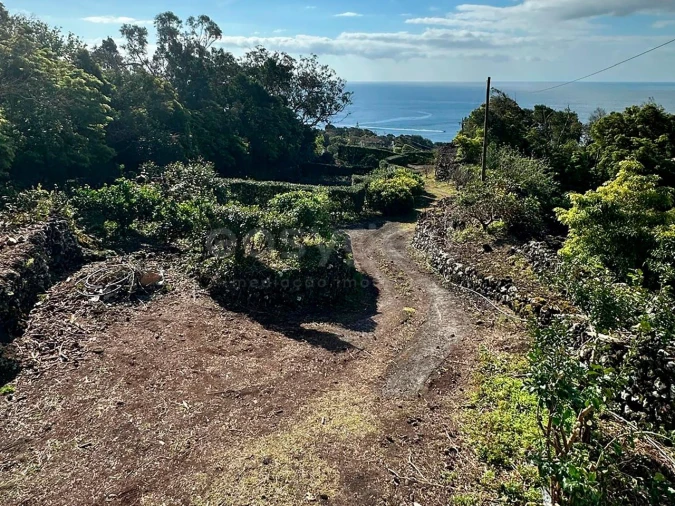 Moradia T2 para Venda em São João Foto 2