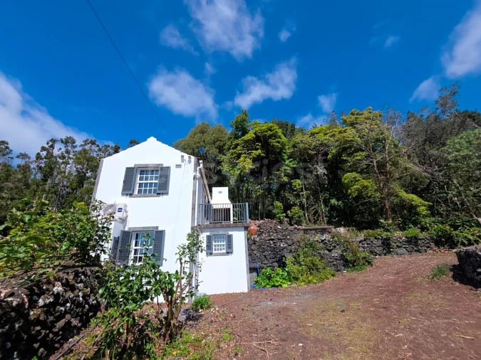 Moradia T2 para Venda em São João Foto 16