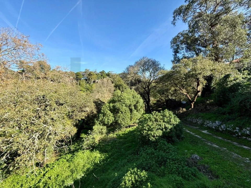 Moradia T4 para Venda em Santa Maria e São Miguel, São Martinho, São Pedro Penaferrim Foto 5