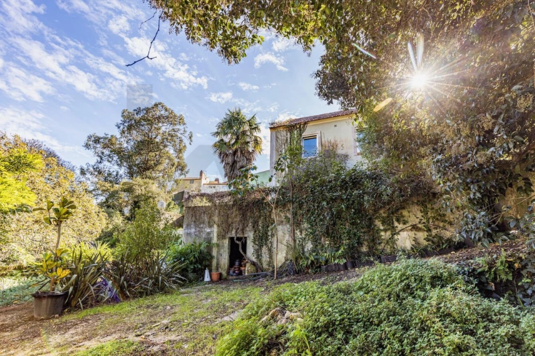 Moradia T4 para Venda em Santa Maria e São Miguel, São Martinho, São Pedro Penaferrim Foto 31