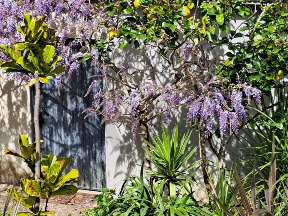 Moradia T4 para Venda em Santa Maria e São Miguel, São Martinho, São Pedro Penaferrim Foto 34