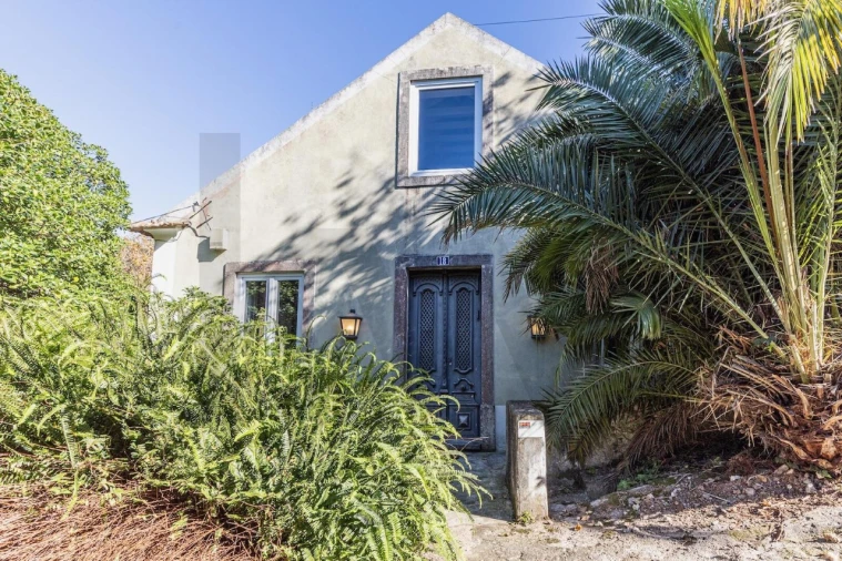 Moradia T4 para Venda em Santa Maria e São Miguel, São Martinho, São Pedro Penaferrim