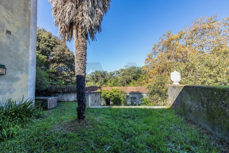 Moradia T4 para Venda em Santa Maria e São Miguel, São Martinho, São Pedro Penaferrim Foto 24