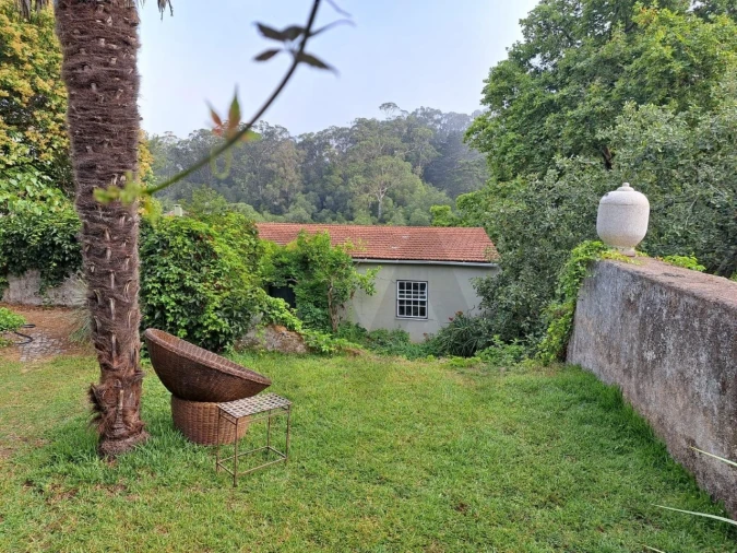 Moradia T4 para Venda em Santa Maria e São Miguel, São Martinho, São Pedro Penaferrim Foto 36