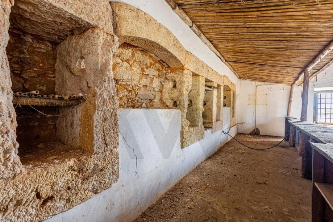 Moradia T5 para Venda em São Vicente do Paul e Vale de Figueira Foto 28