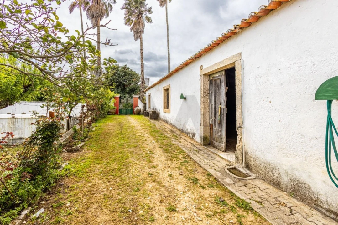 Moradia T5 para Venda em São Vicente do Paul e Vale de Figueira Foto 34