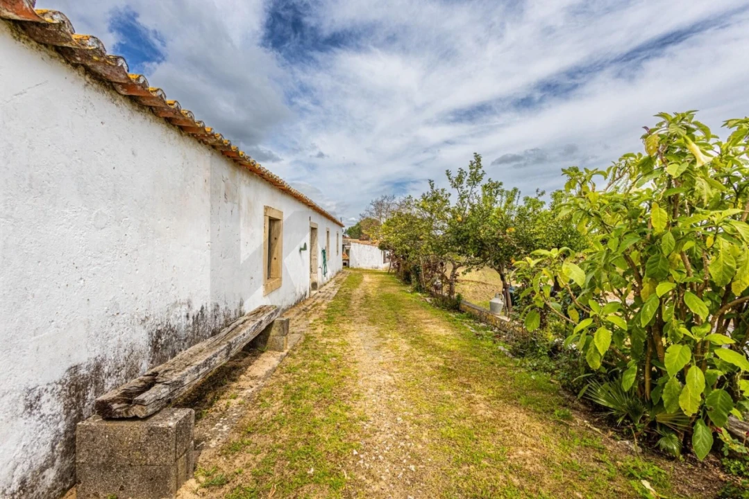 Moradia T5 para Venda em São Vicente do Paul e Vale de Figueira Foto 35