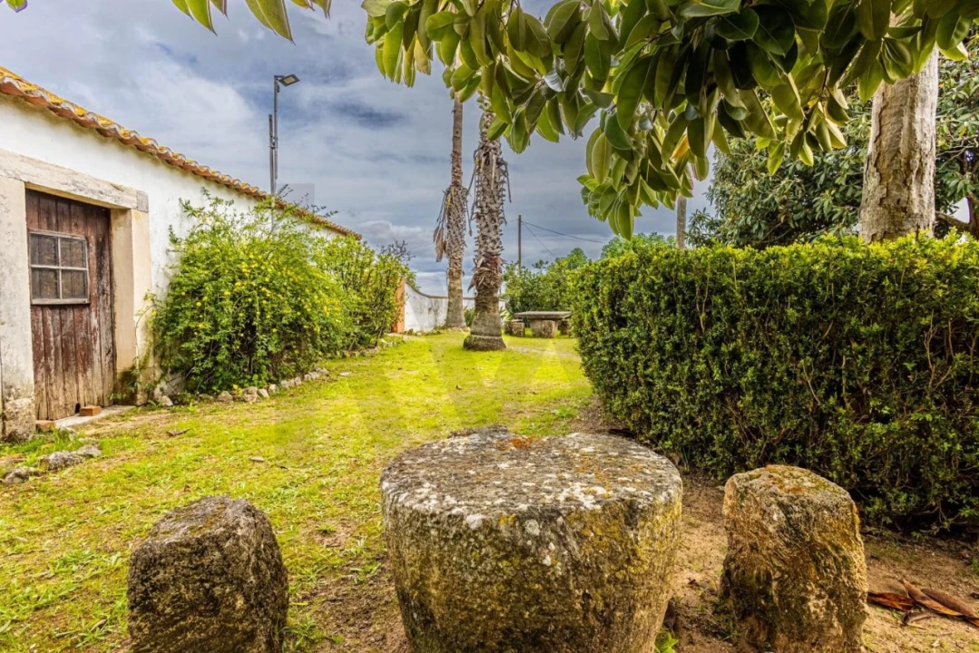 Moradia T5 para Venda em São Vicente do Paul e Vale de Figueira Foto 46