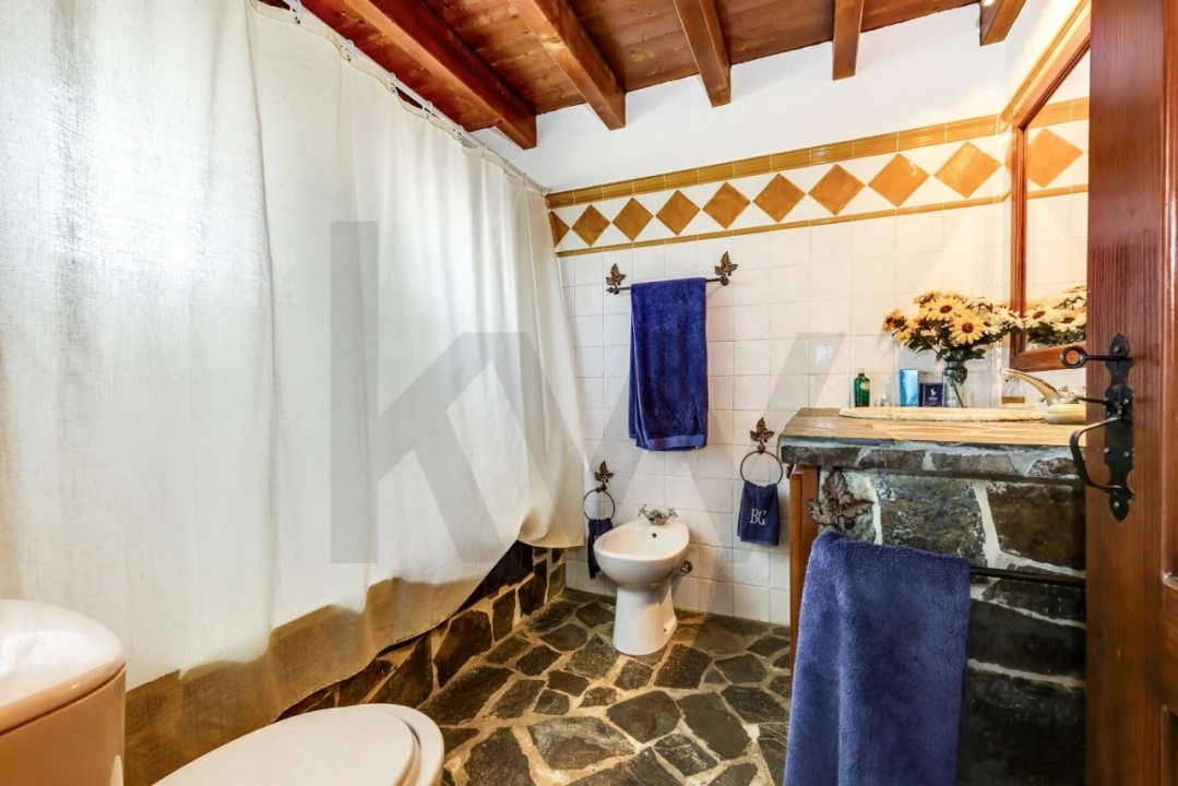 Quinta T5 para Venda em Garvão e Santa Luzia Foto 59