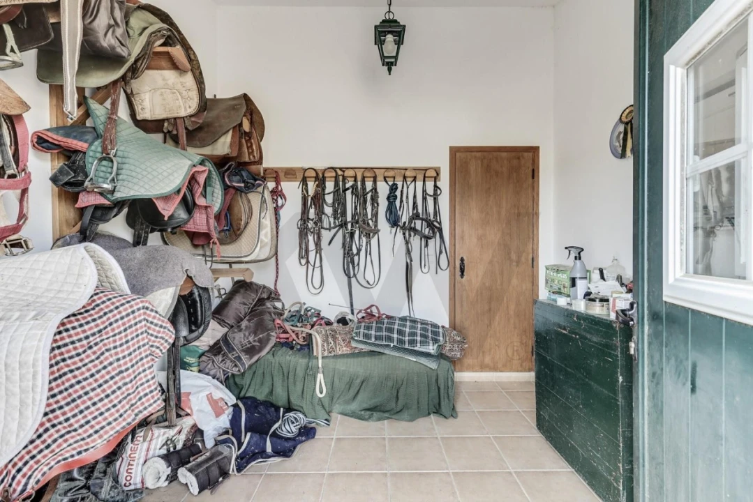 Quinta T5 para Venda em Garvão e Santa Luzia Foto 60