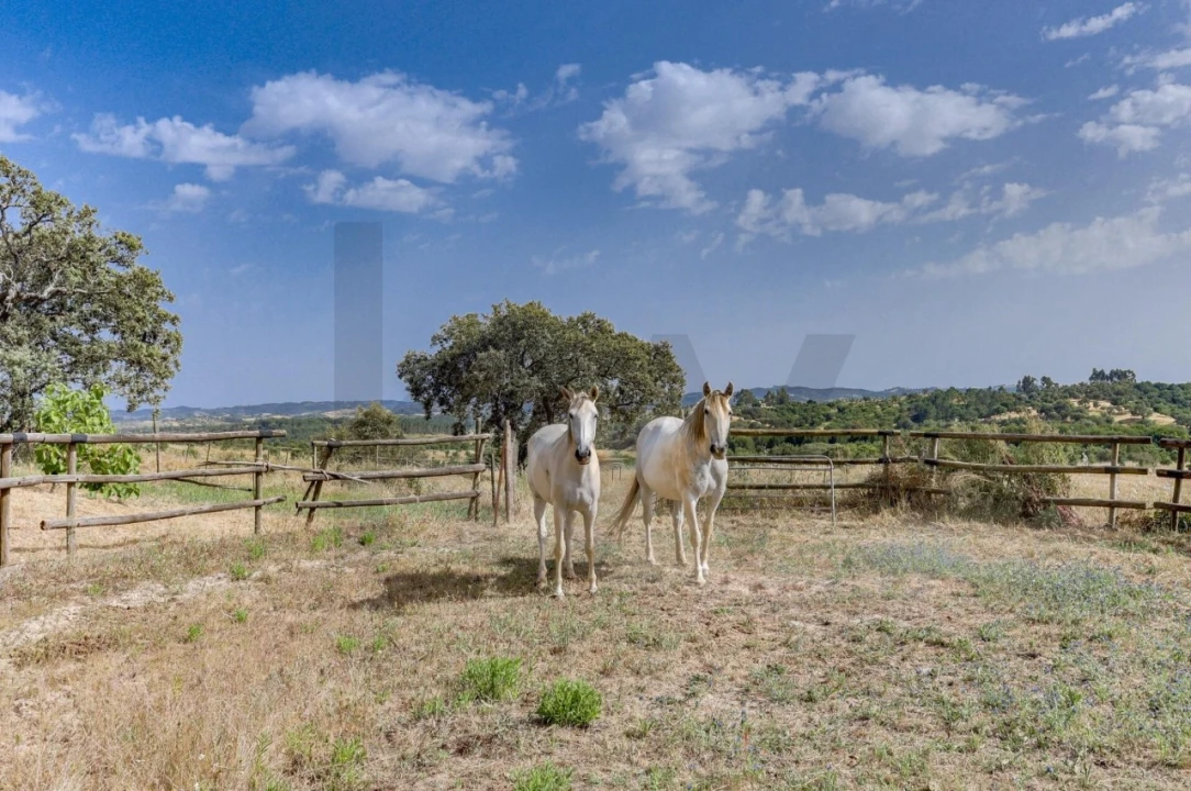 Quinta T5 para Venda em Garvão e Santa Luzia Foto 71