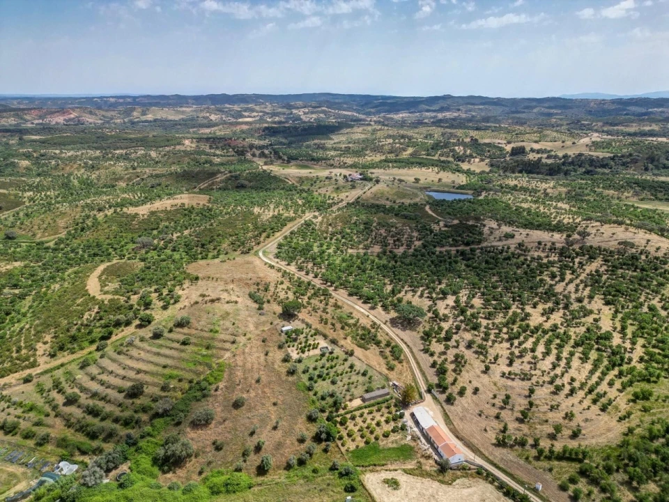 Quinta T5 para Venda em Garvão e Santa Luzia Foto 72