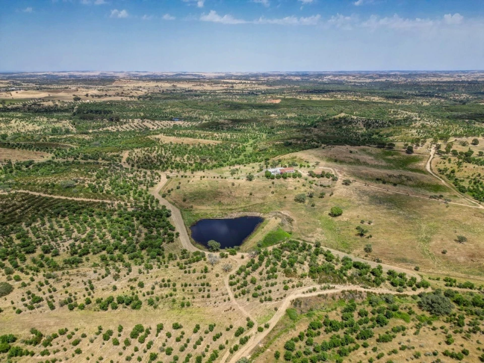 Quinta T5 para Venda em Garvão e Santa Luzia Foto 73