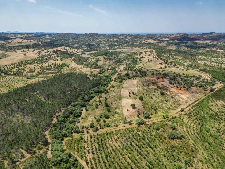 Quinta T5 para Venda em Garvão e Santa Luzia Foto 76