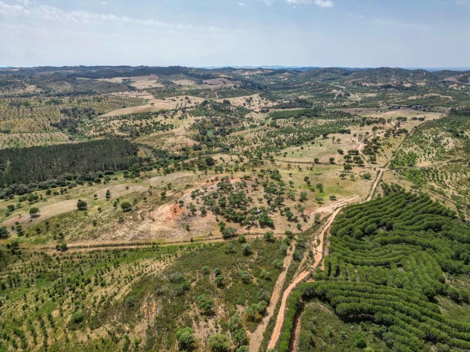 Quinta T5 para Venda em Garvão e Santa Luzia Foto 77