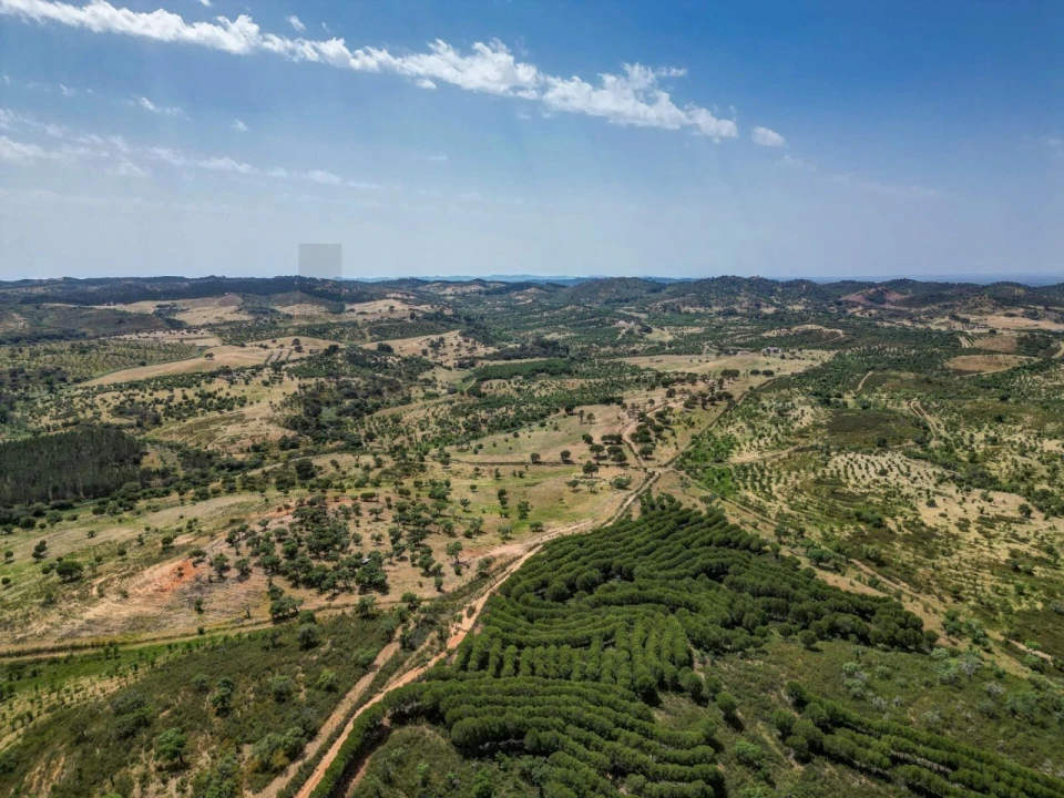 Quinta T5 para Venda em Garvão e Santa Luzia Foto 78