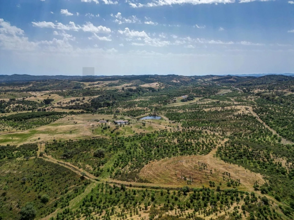 Quinta T5 para Venda em Garvão e Santa Luzia Foto 81