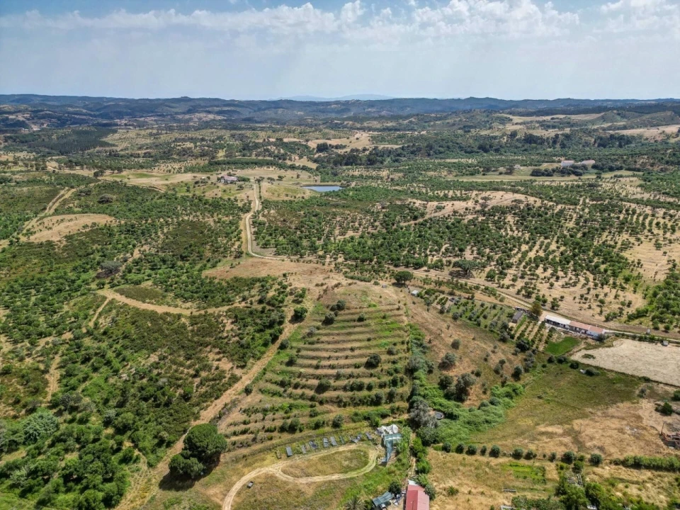 Quinta T5 para Venda em Garvão e Santa Luzia Foto 83
