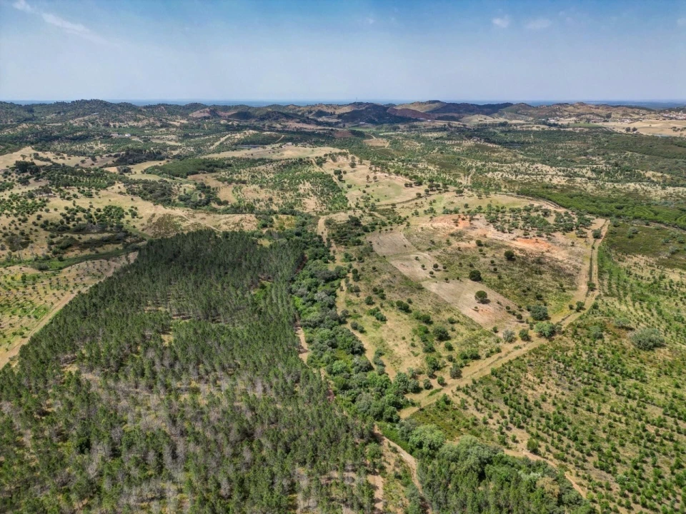 Quinta T5 para Venda em Garvão e Santa Luzia Foto 6