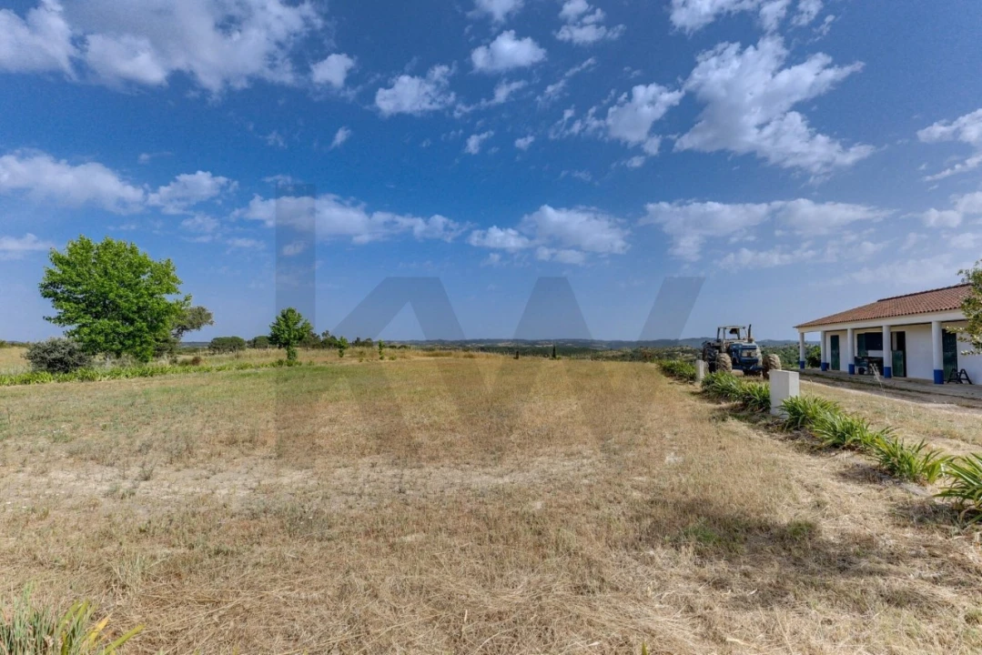 Quinta T5 para Venda em Garvão e Santa Luzia Foto 61