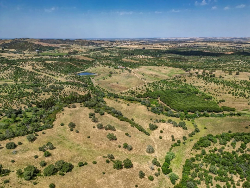 Quinta T5 para Venda em Garvão e Santa Luzia Foto 74