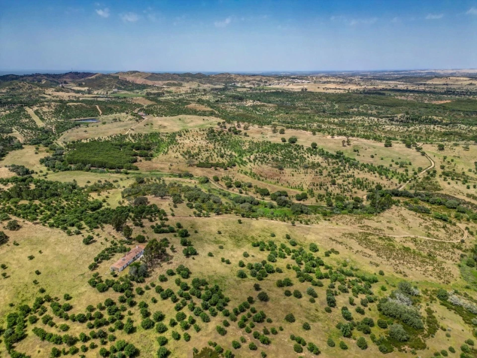 Quinta T5 para Venda em Garvão e Santa Luzia Foto 75