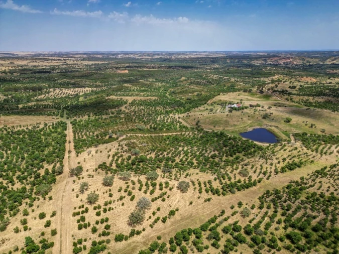 Quinta T5 para Venda em Garvão e Santa Luzia Foto 3