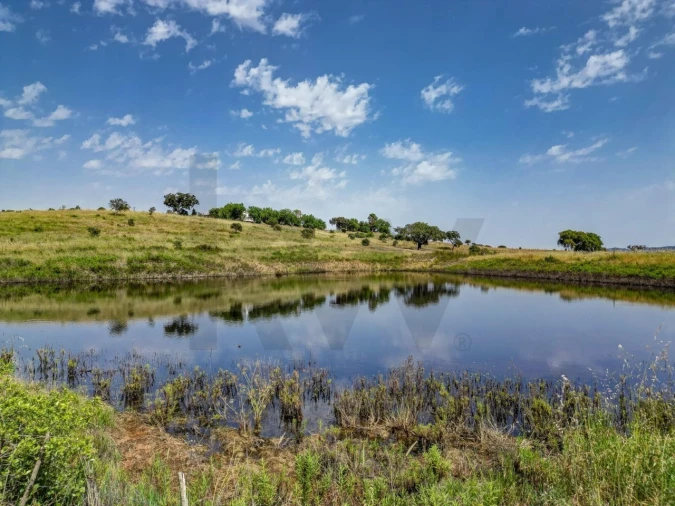 Quinta T5 para Venda em Garvão e Santa Luzia Foto 7